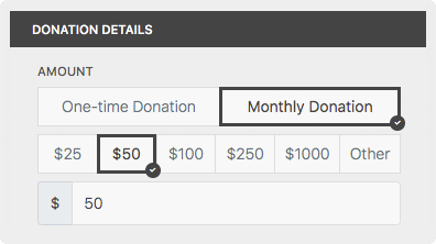 Giveffect's Donation Form View